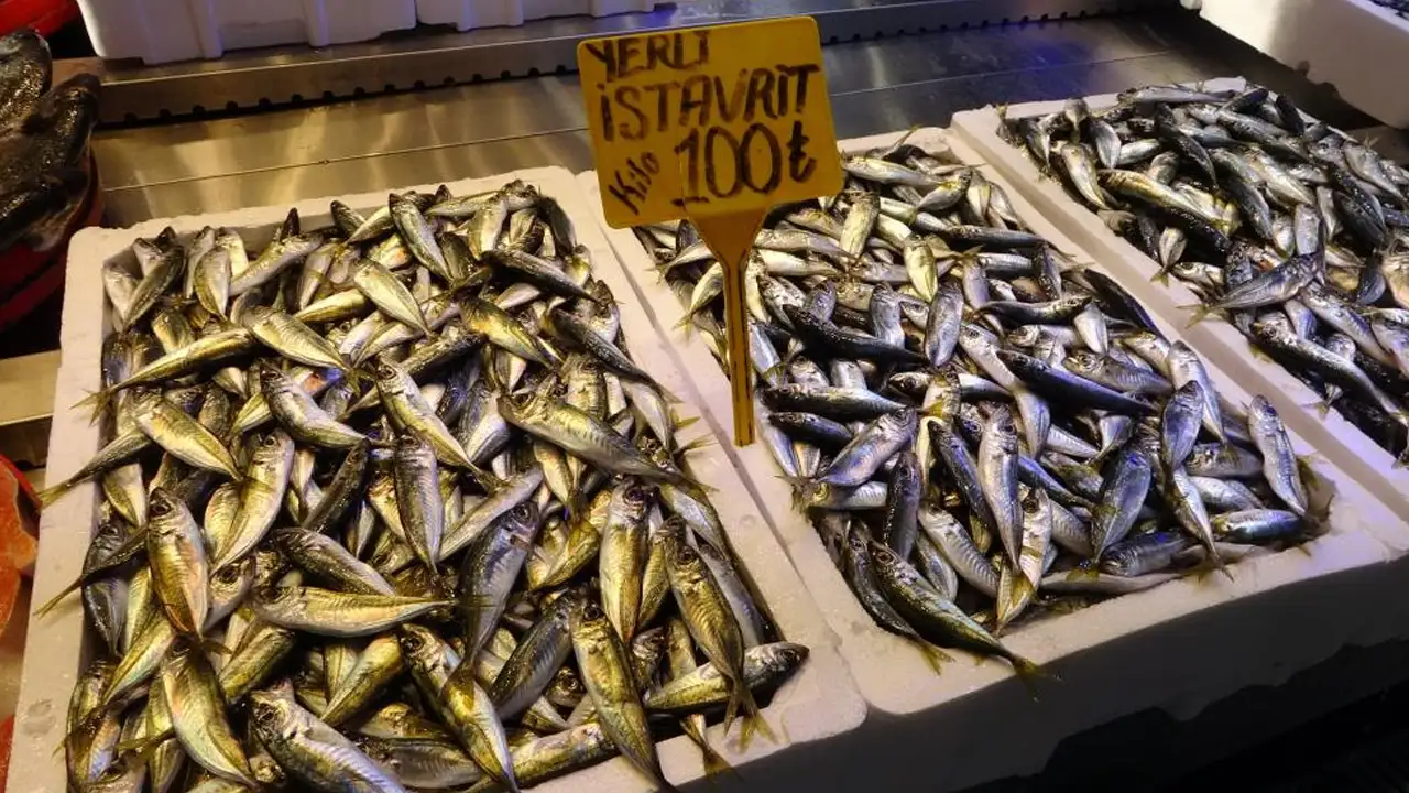 Karadeniz'i fırtına vurdu: Hamsinin tahtı sallandı