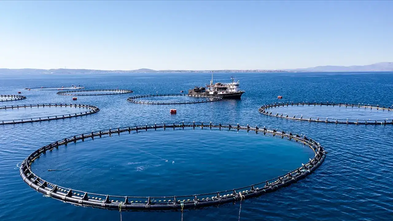 2026 hamlesi: Doğu Karadeniz su ürünlerinde ihracatı büyütecek yeni strateji