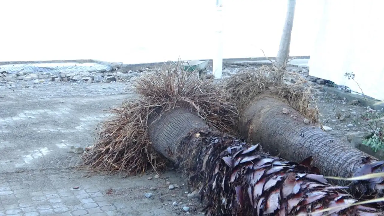 Giresun Tirebolu’da fırtına vurdu: Dev dalgalar sahili ve iş yerlerini tahrip etti