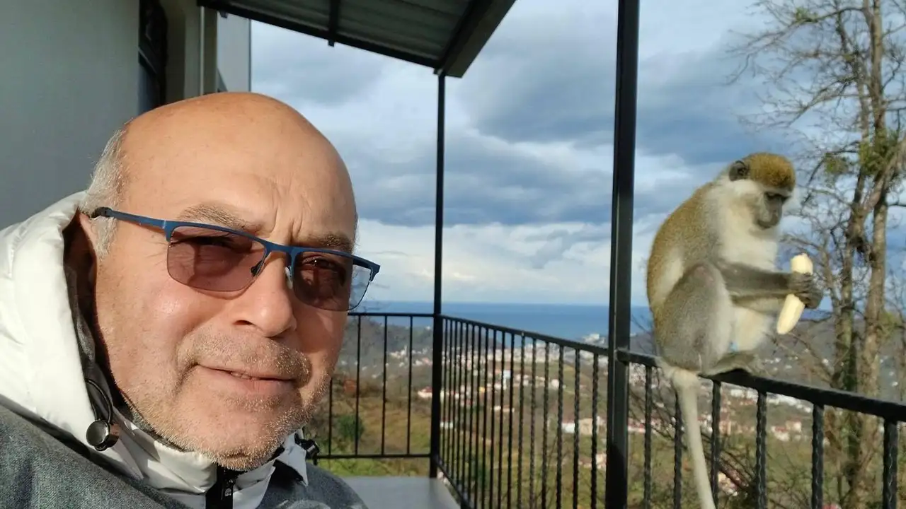 Giresun’da kaçak maymun paniği: Evin balkonunda muzla beslendi