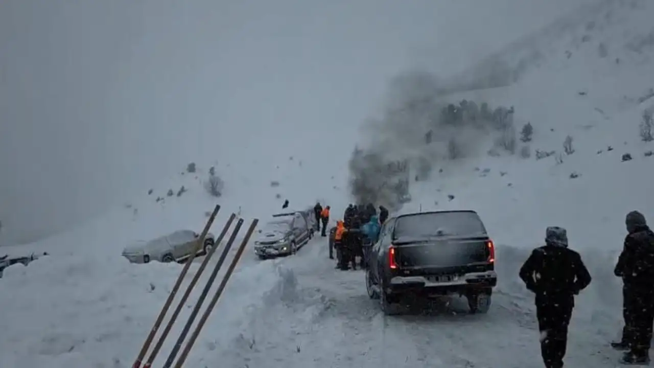 Artvin'de yaşanan çığ faciasını köy sakinleri anlattı: "Çobanlar sınırı geçerken çığ geldi"