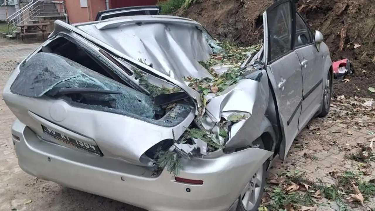 Giresun’da korkutan görüntü: Fırtına nedeniyle araç üzerinde ağaç devrildi