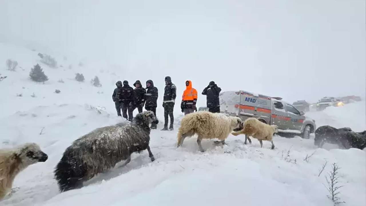 Çığ felaketinden acı haber geldi: Cansız bedeni bulunan çobanın kimliği belli oldu