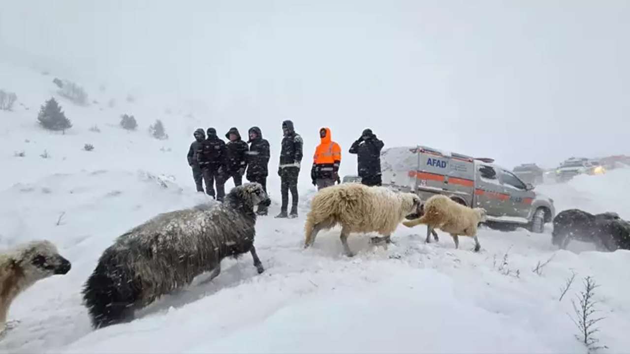 Bölgemizde çığ felaketi: İkinci cansız bedene ulaşıldı, çalışmalara ara verildi