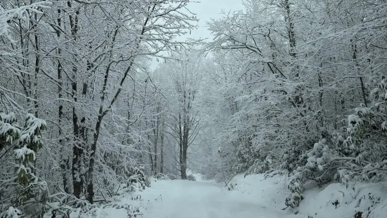 Trabzon’da kar ve tipi ulaşımı vurdu: 6 güzergâh kapatıldı