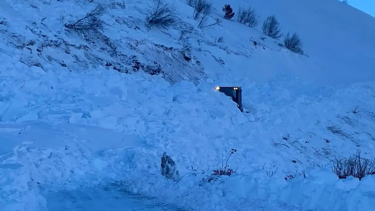 Artvin’de çığ felaketi: Kayıp çoban için arama çalışmalarına ara verildi