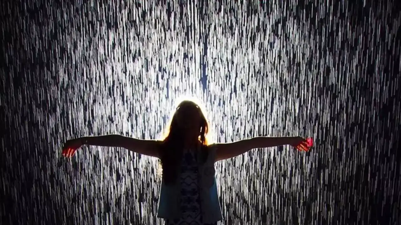 Rüyada yağmur yağdığını görmek ne anlama gelir? Rüyada yağmur yağması (Diyanet yorumu) anlamı?