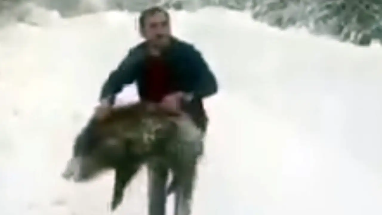 Karlı yolda ilginç kovalamaca: Domuzu yakaladı, poz verip serbest bıraktı