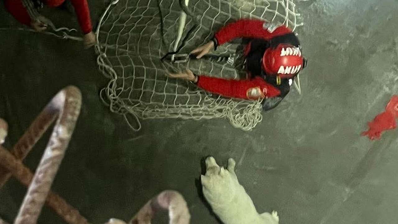 Trabzon'da şehir hastanesi inşaatında kuyuya düştü: AKUT ekipleri kurtardı