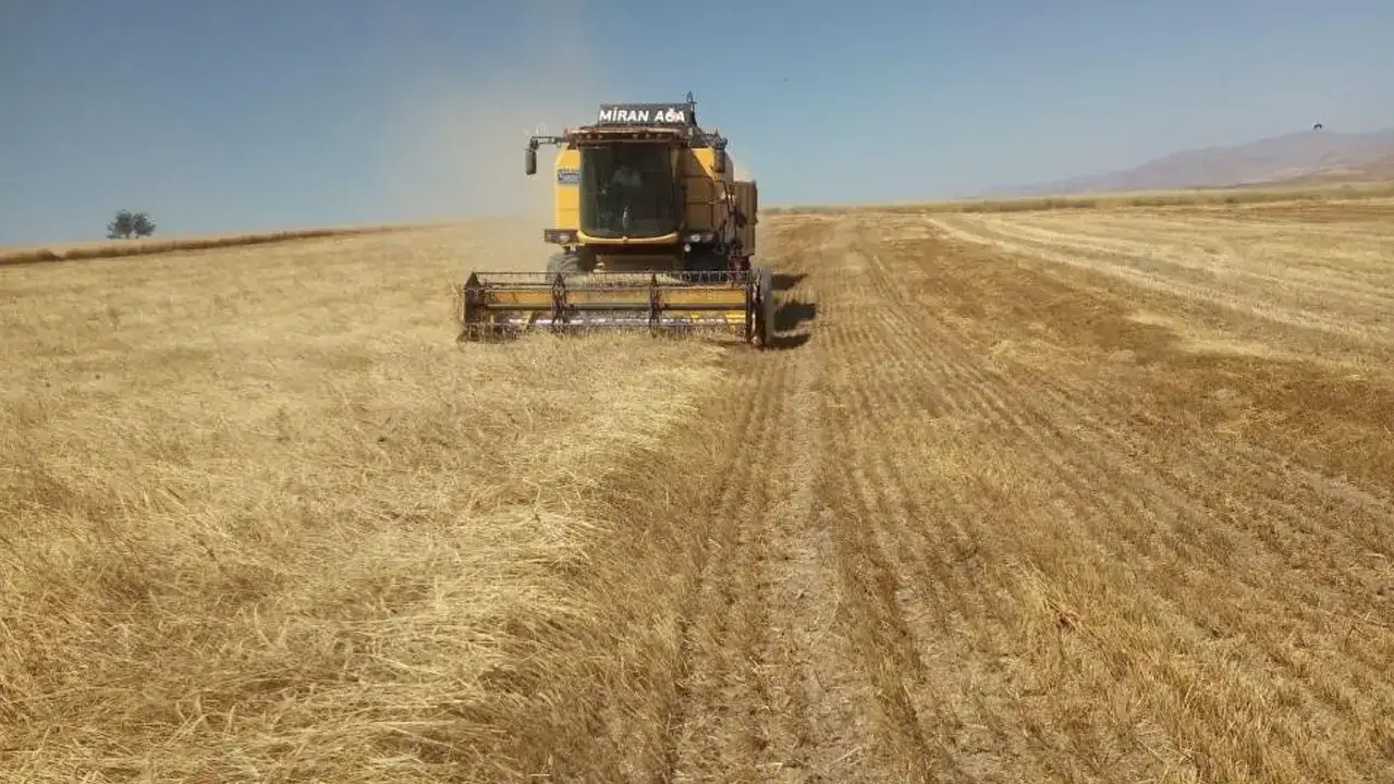 TMO’dan Bayburtlu besicilere yemlik arpa satışı