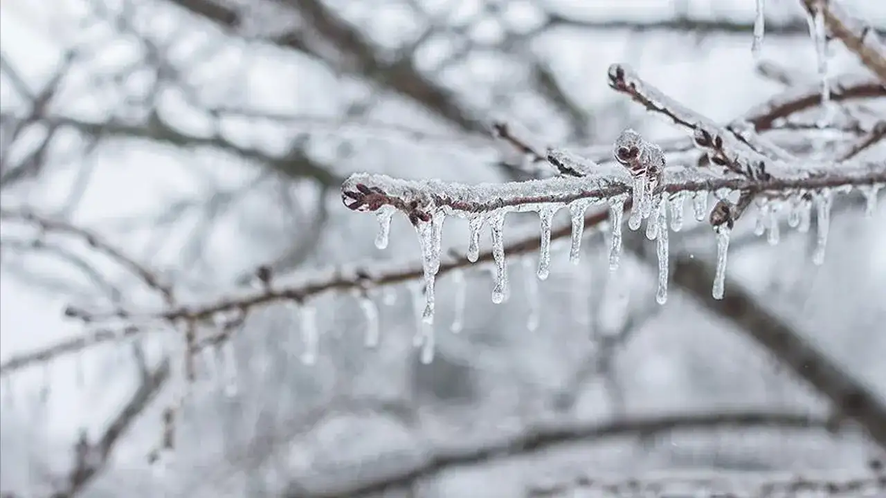 Meteoroloji uyarı: Karadeniz’de kar ve don riski