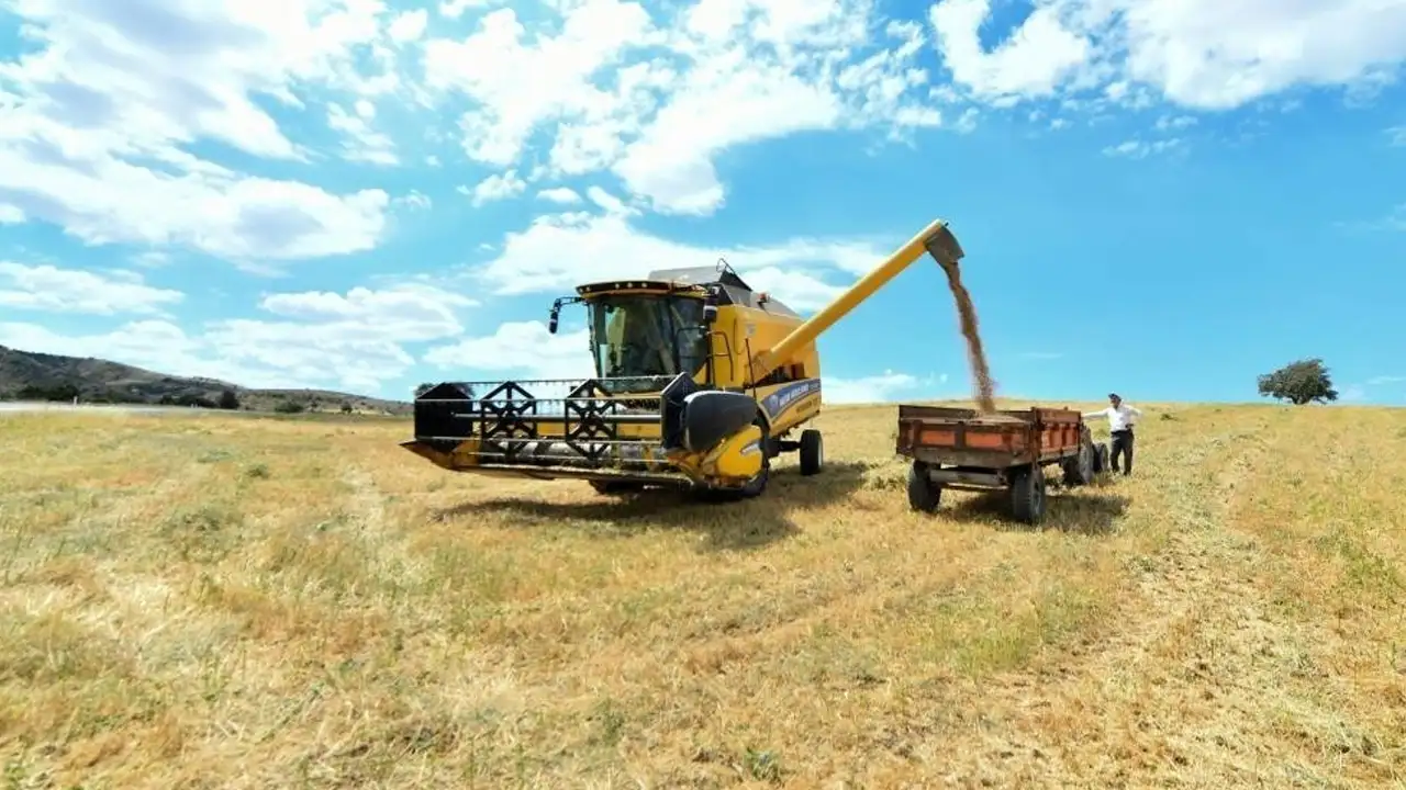 Bayburt’ta hayvancılığa yüzde 40 devlet destekli yem desteği