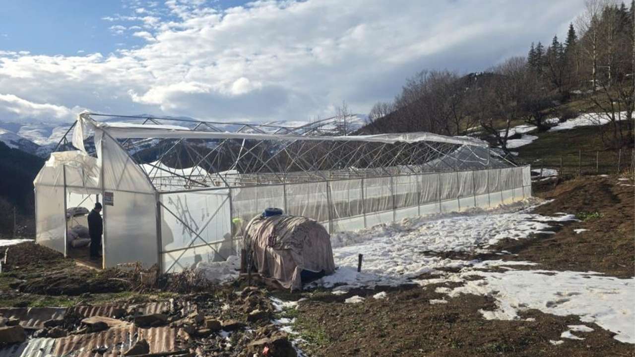 Giresun'da fırtına hayatı felç etti: Yayla Evleri ve seralarda büyük hasar