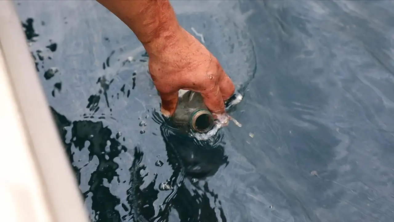 Rize açıklarında petrol umudu: Alınan numuneler doğal ham petrol çıktı