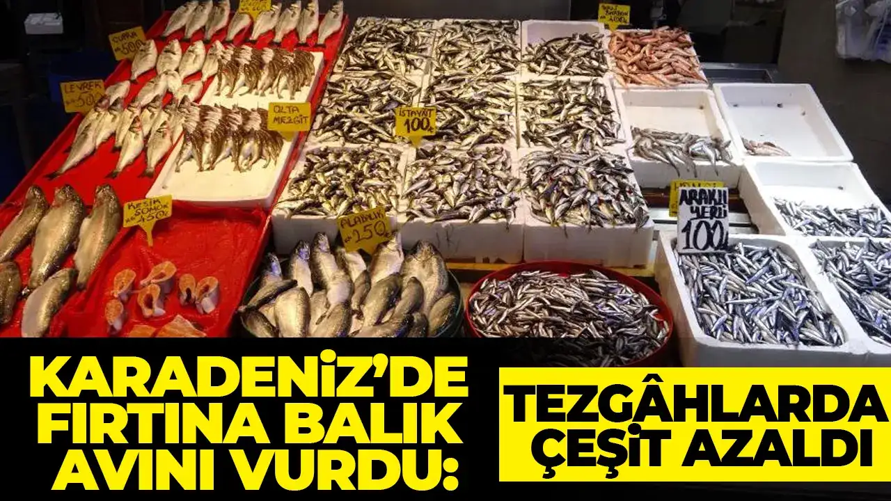 Karadeniz’de fırtına balık avını vurdu: İşte güncel balık fiyatları