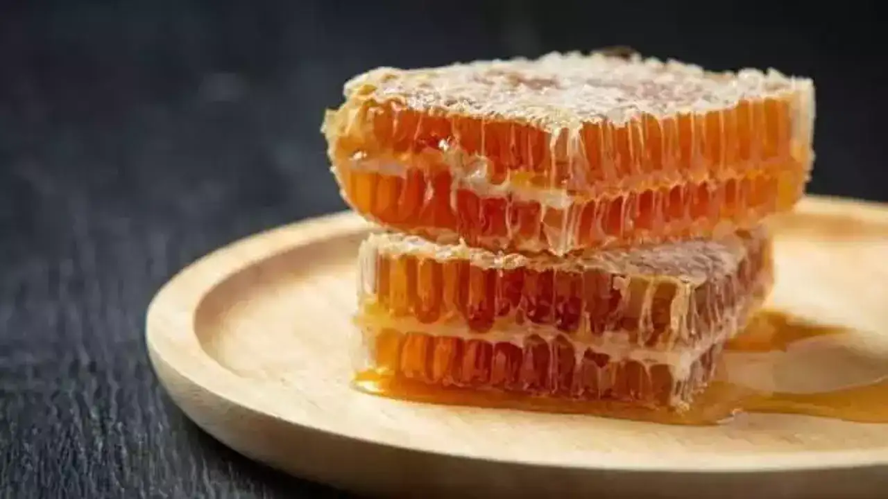 Türk balına dünyadan yoğun ilgi: İhracat yükselişte