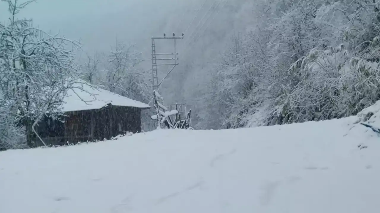 Trabzon Şalpazarı'nda kar yağışı: Taşımalı eğitime bir gün ara