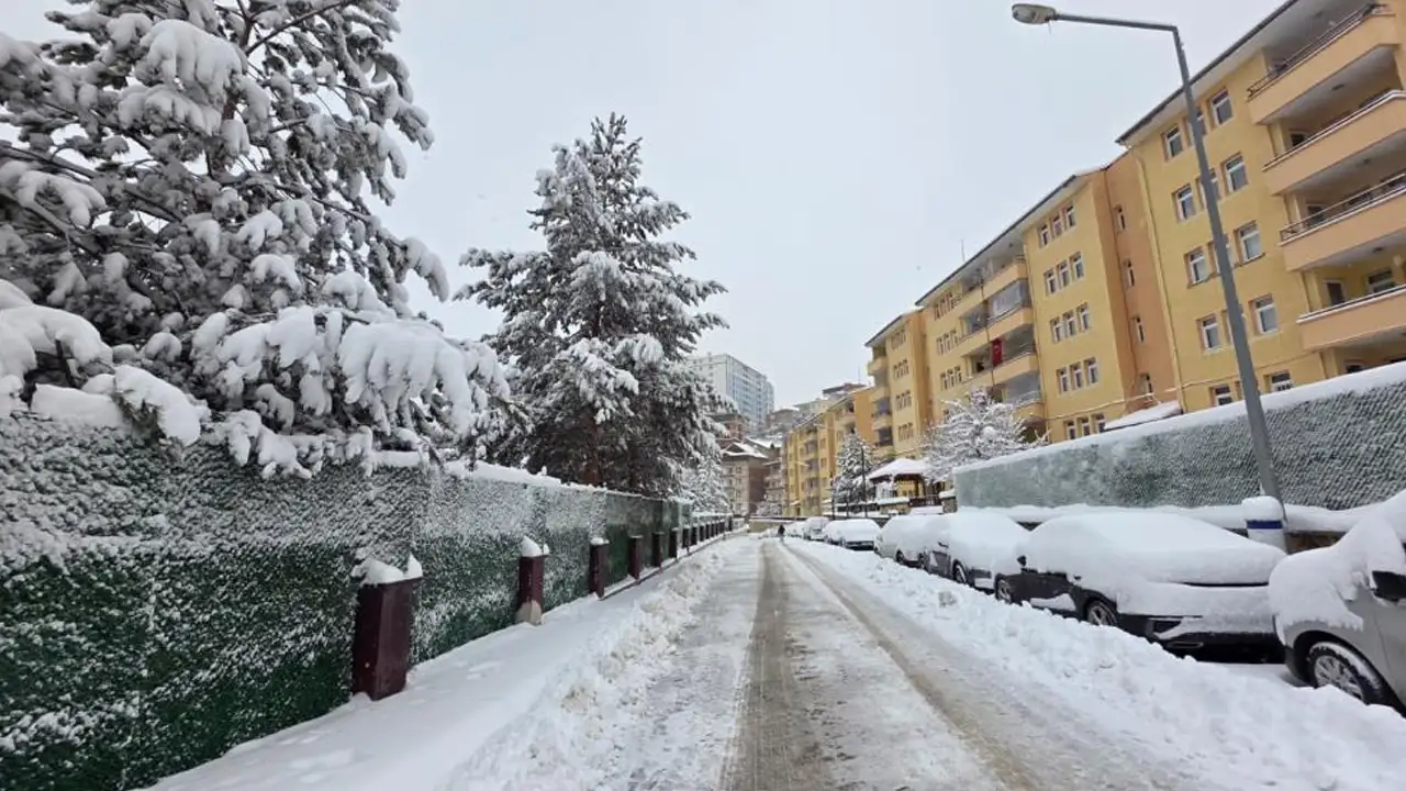 Gümüşhane’de kar hayatı durdurdu: 247 köy yolu kapalı