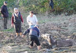 Ordu'da eşek böyle kurtarıldı
