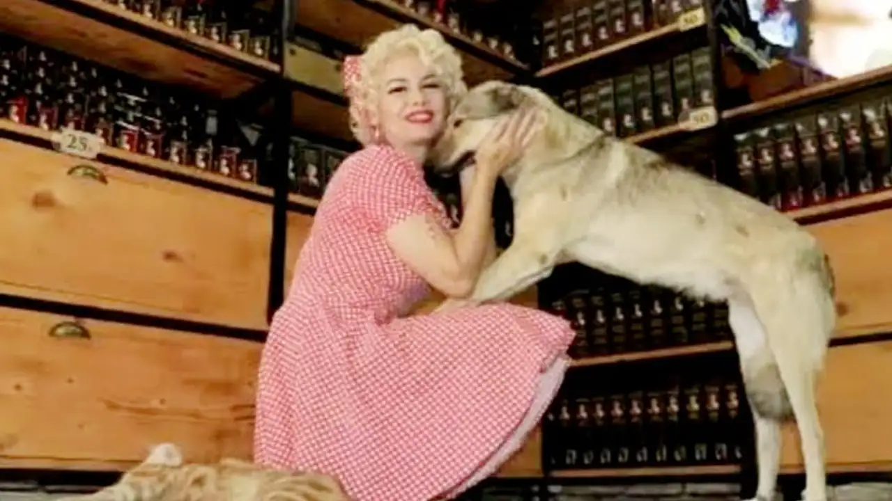 Mardin’de fenomen hayvanseverin tutuklanması tartışma yarattı