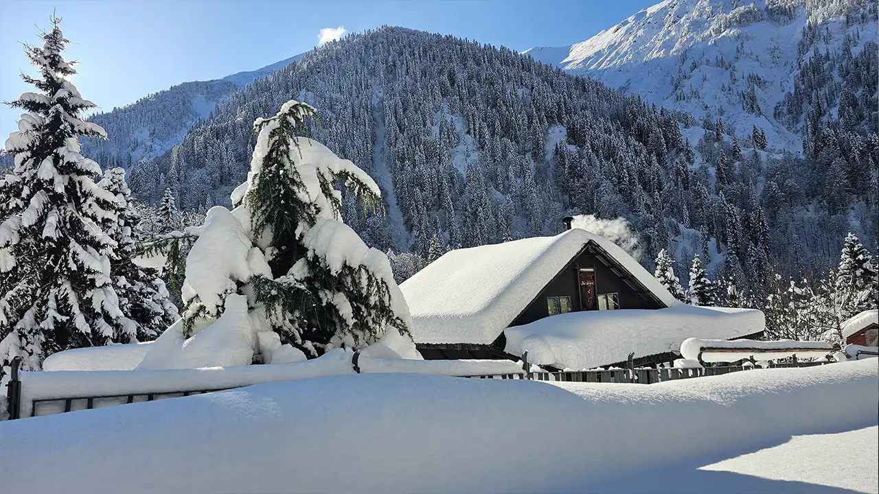 Doğu Karadeniz’de kar etkili oldu: 404 yerleşimin yolu kapandı