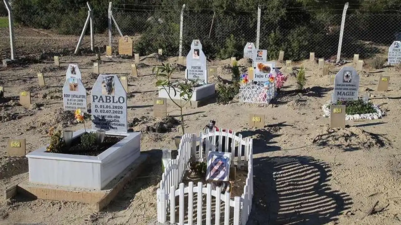 Onlar da bir mezar yeri hak ediyor