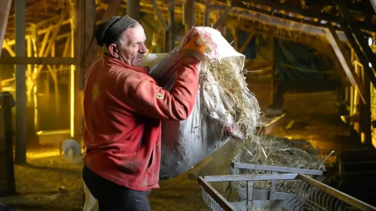 Bayburt’ta kışa meydan okuyan azim: Eksi 25 derecede hayvancılık