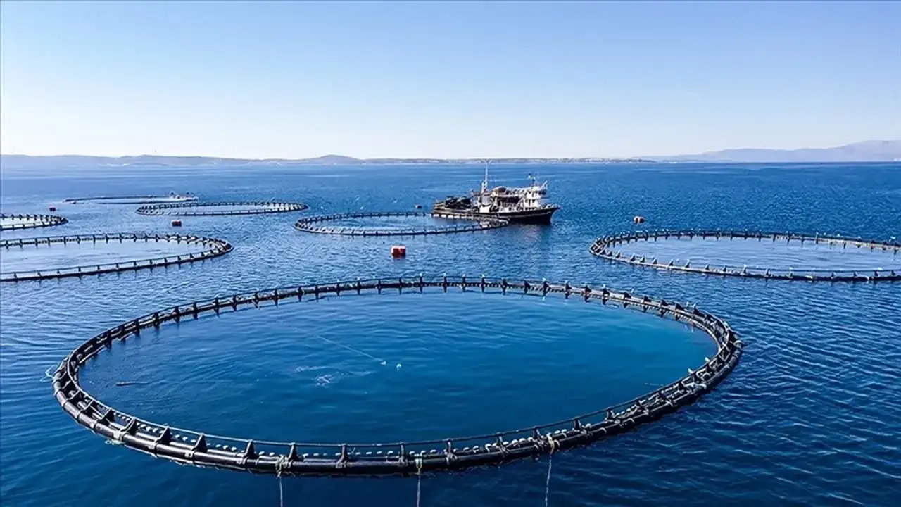 Karadeniz su ürünleri ihracatında rekor seviye: 400 milyon 925 bin dolar