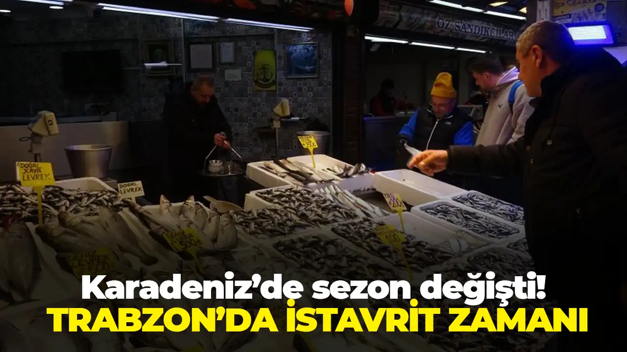 Karadeniz’de sezon değişti: Trabzon’da istavrit zamanı