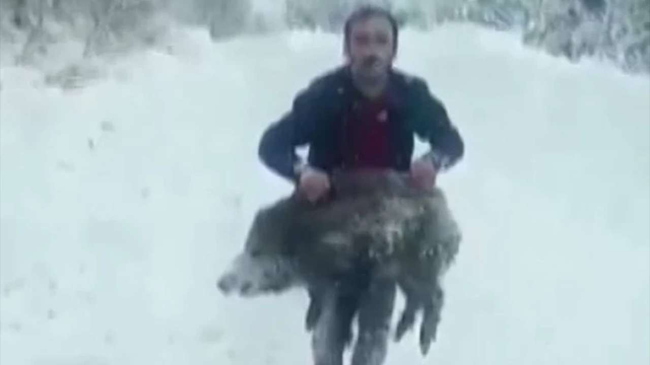 Görüntüler viral olmuştu, ceza kesilmişti: Mahkeme son noktayı koydu