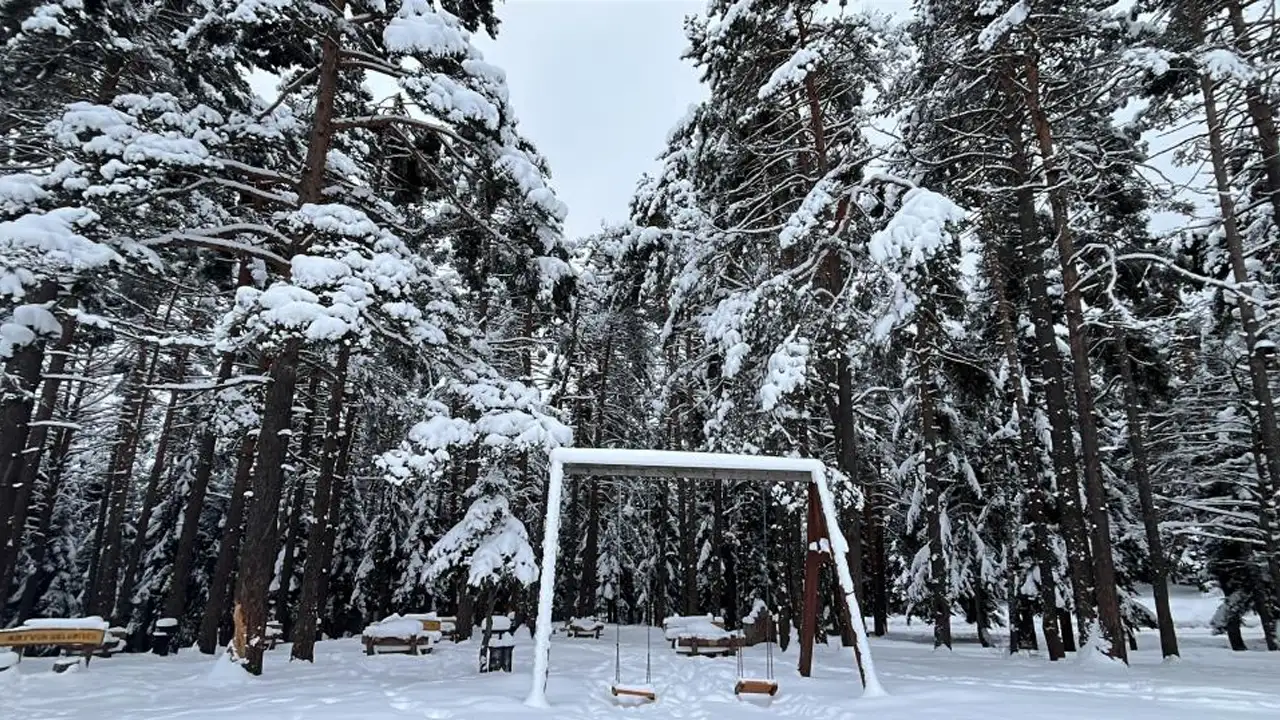 Artvin’in simgesi Kafkasör Yaylası’nda kar güzelliği: Kış manzaraları oluştu