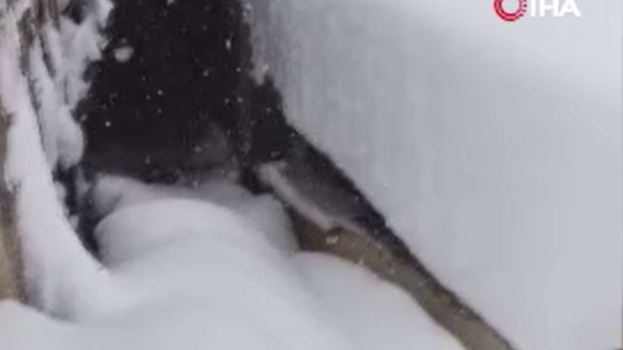 1 metre karda mahsur kaldı: Video göndererek yardım istedi