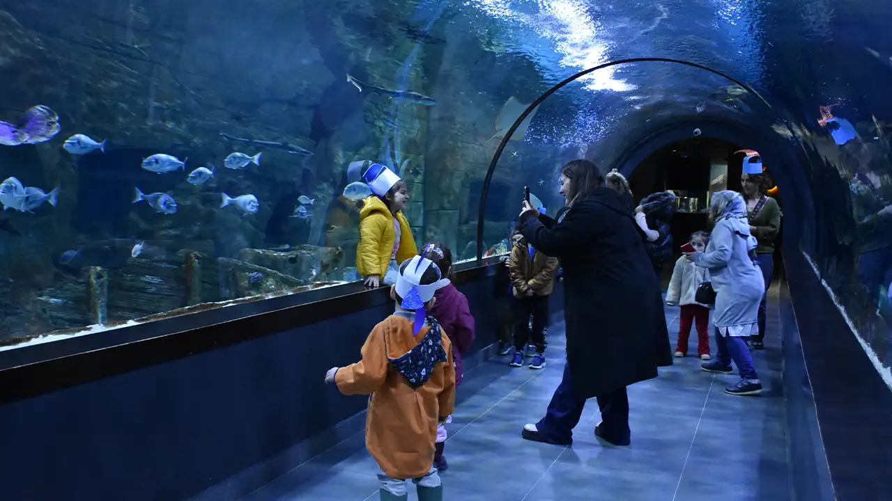 Trabzon Akvaryum 2025’te rekor kırdı: 215 binden fazla ziyaretçi