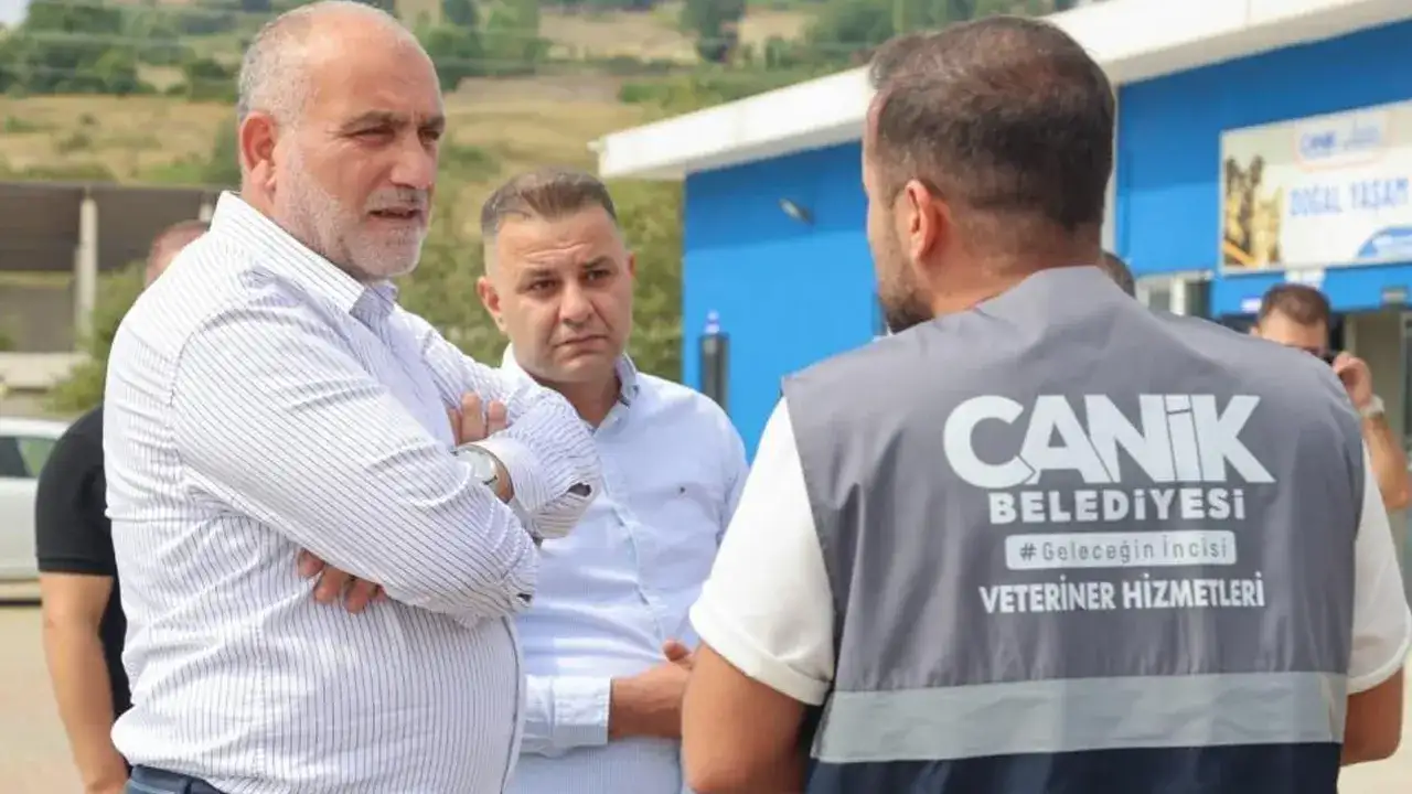 Samsun Canik Belediyesi, sokak hayvanları için yeni projelerle hizmette