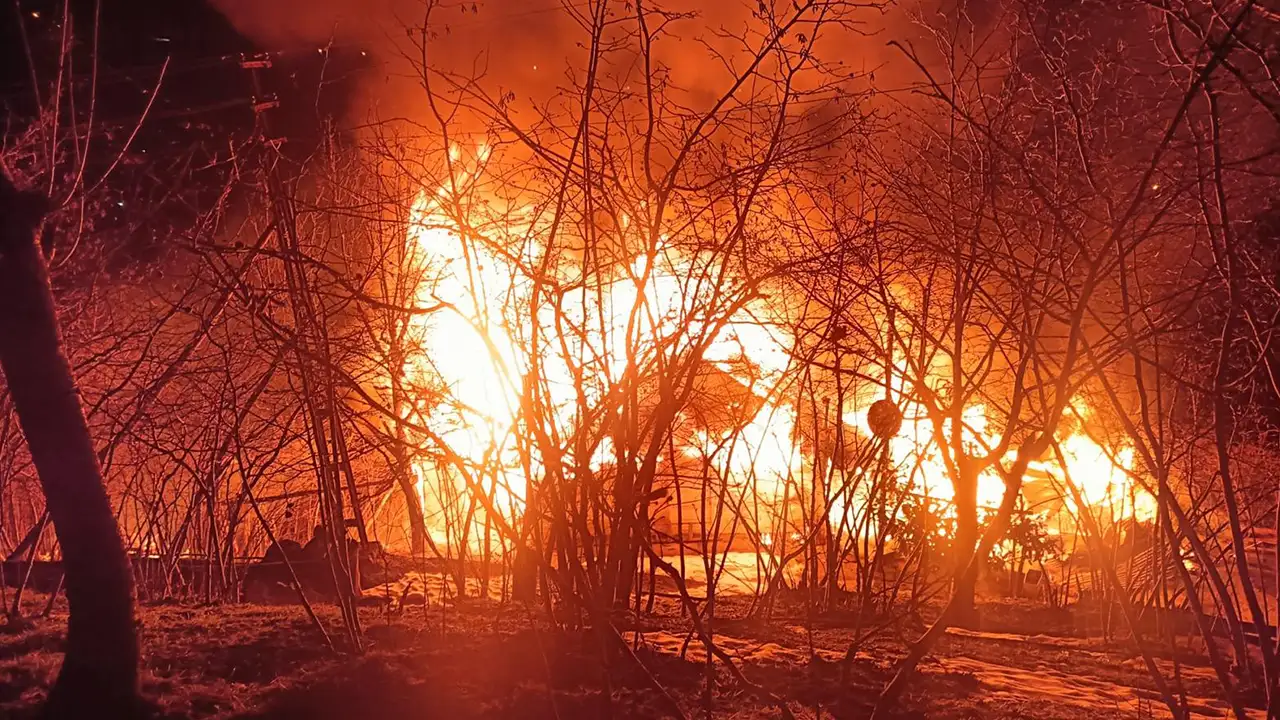 Ordu'da ev yangını sonrası şüpheli ölüm: Ev sahibi ağaca asılı bulundu