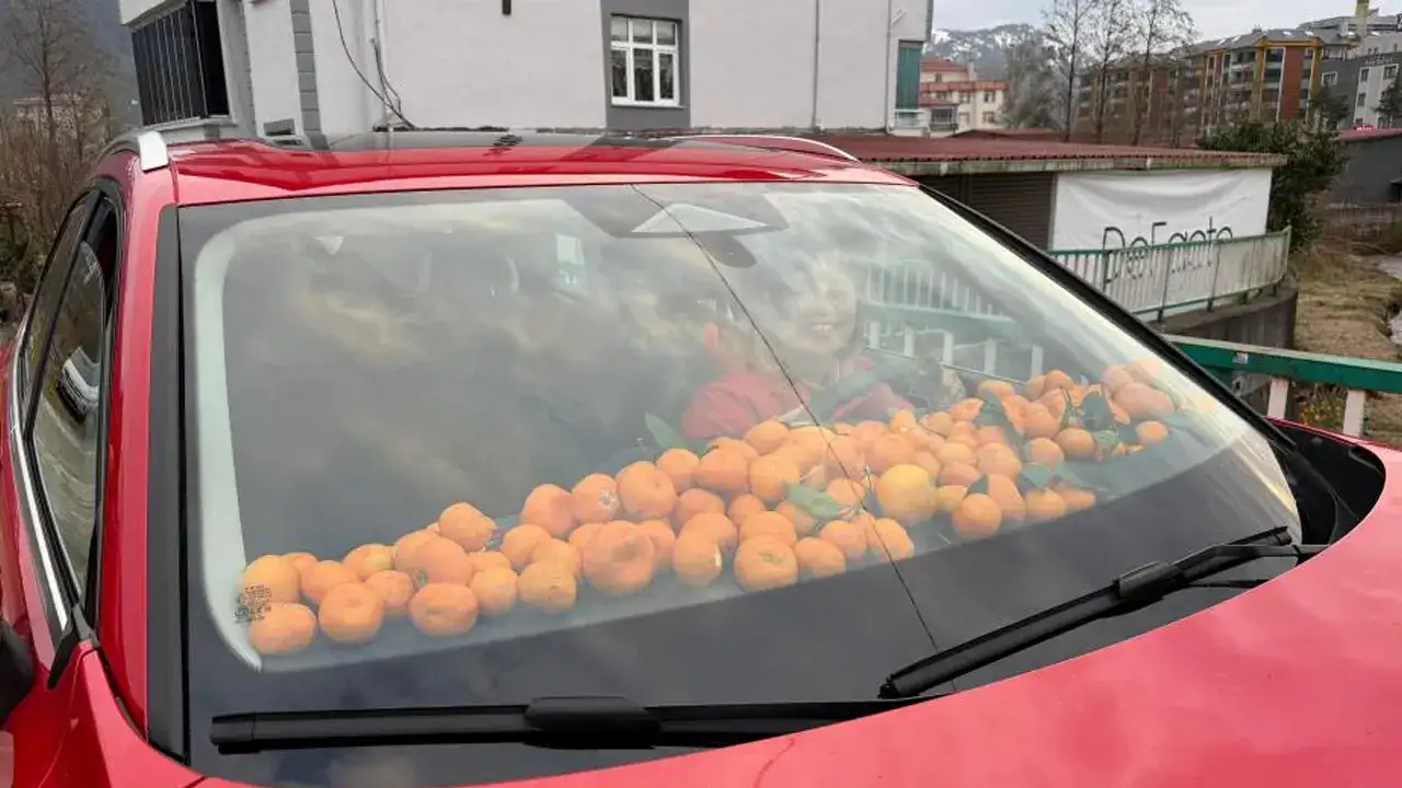 Bereketli hasat renkli görüntüler oluşturdu: Mandalina her yerde