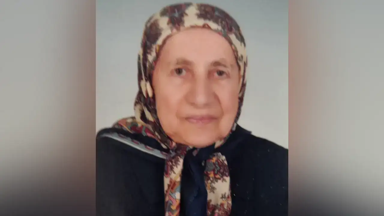 Trabzon’un asırlık çınarı hayatını kaybetti