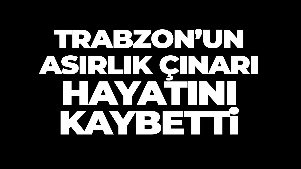 Trabzon’un asırlık çınarı hayatını kaybetti