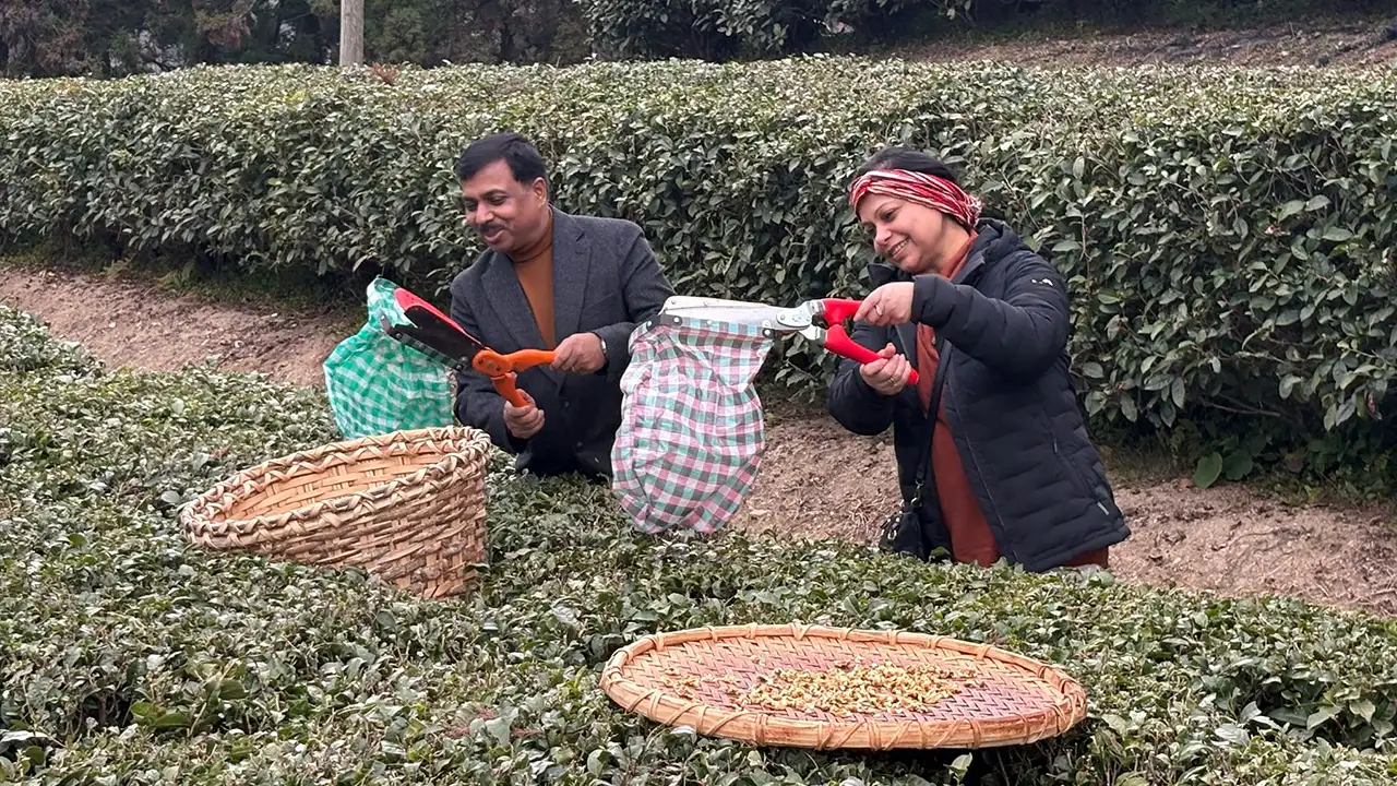 Hindistan’ın Türkiye Büyükelçisi Rize’de: Günde 7-8 bardak çay içiyorum
