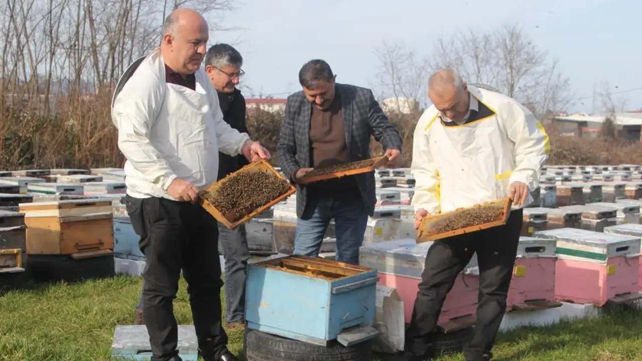 Ordu’da arıcılar 2026 bal sezonu için hazırlıklara başladı
