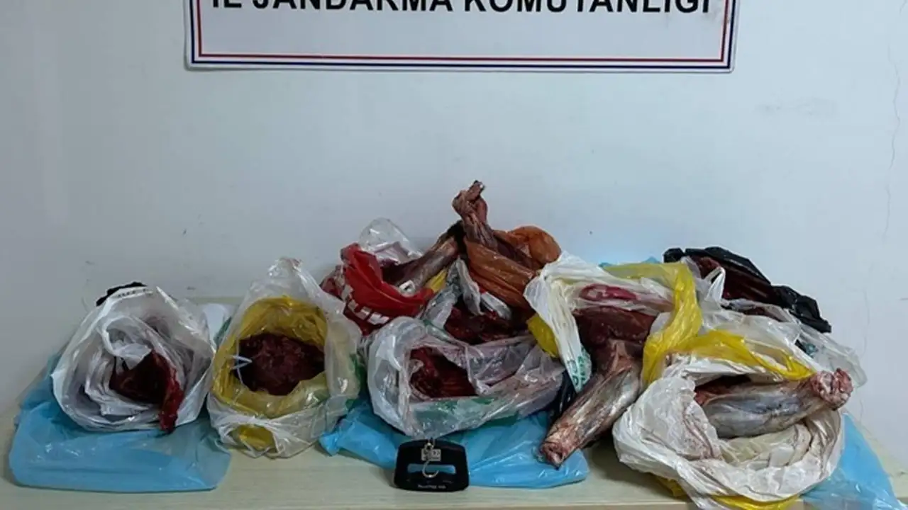 Artvin’de 60 kilo yaban domuzu eti ele geçirildi