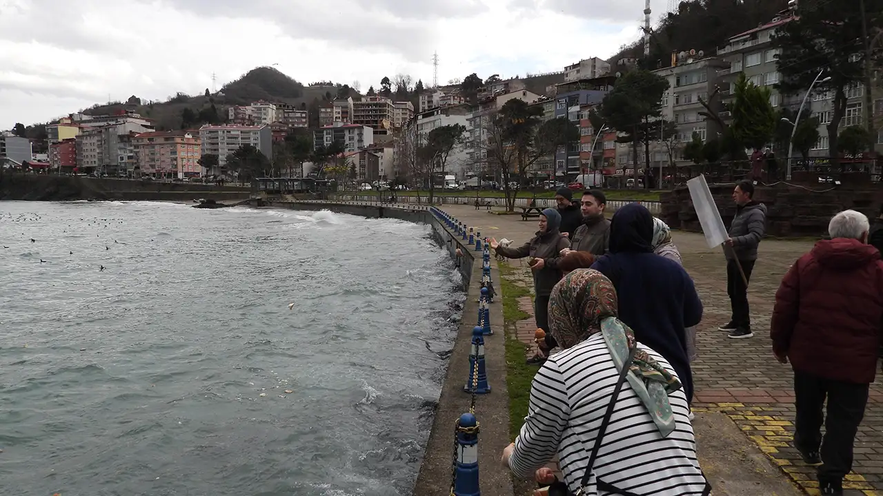 Tirebolu’da Dünya Sulak Alanlar Günü’nde su kuşlarına yemleme