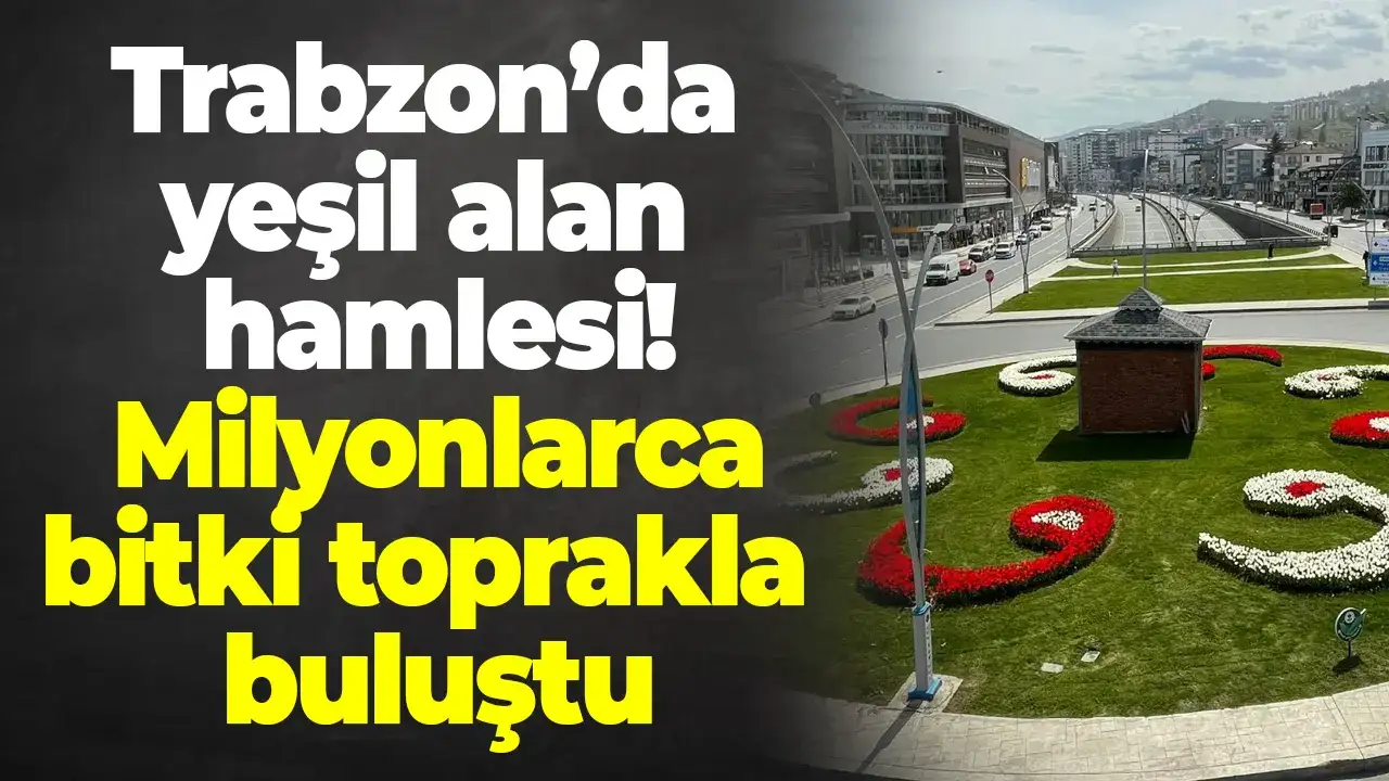 Trabzon’da yeşil alan hamlesi: Milyonlarca bitki toprakla buluştu