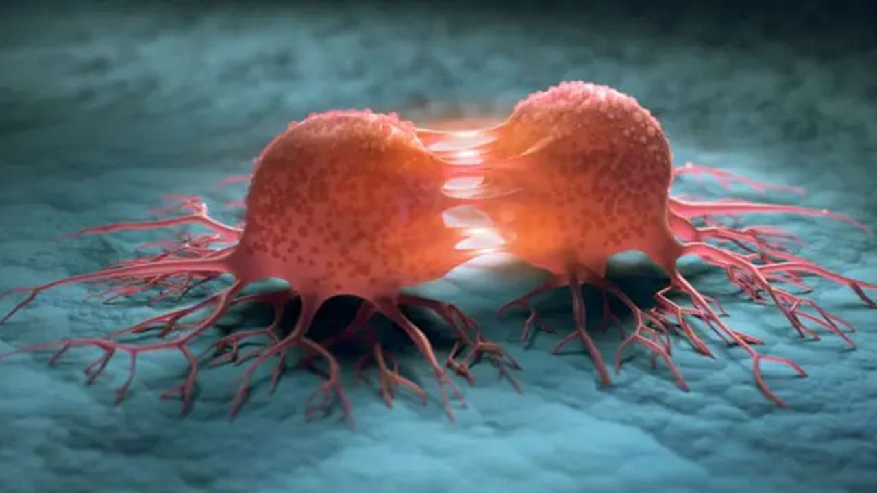 Erkeklerde risk daha büyük! DSÖ’den kritik kanser uyarısı geldi