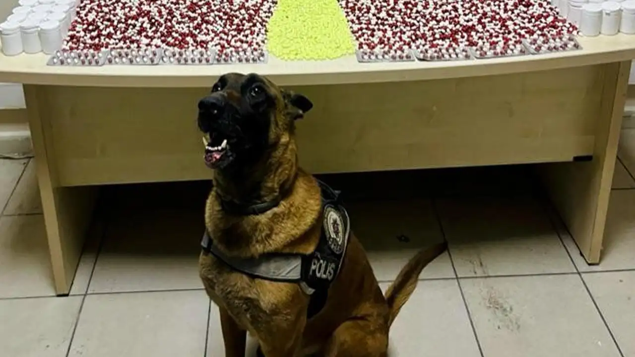 İzmir’den Gürcistan’a uyuşturucu hattı Arhavi’de kesildi