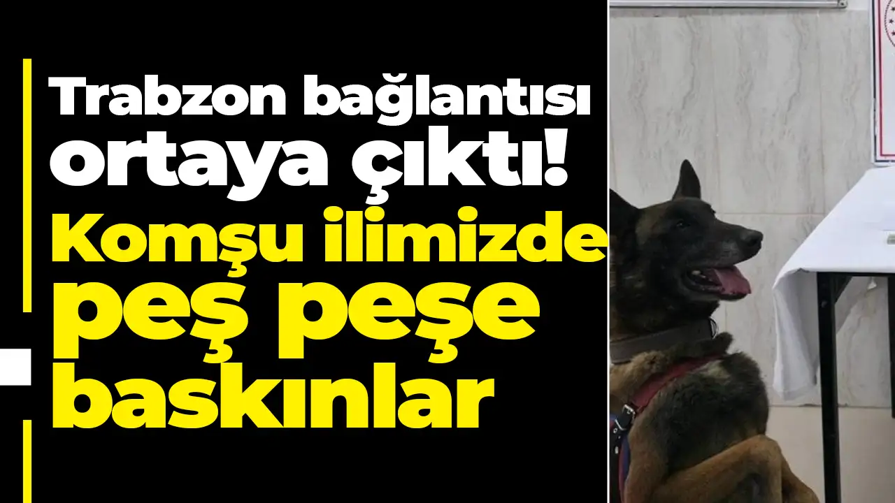 Trabzon bağlantısı ortaya çıktı: Gümüşhane’de peş peşe baskınlar