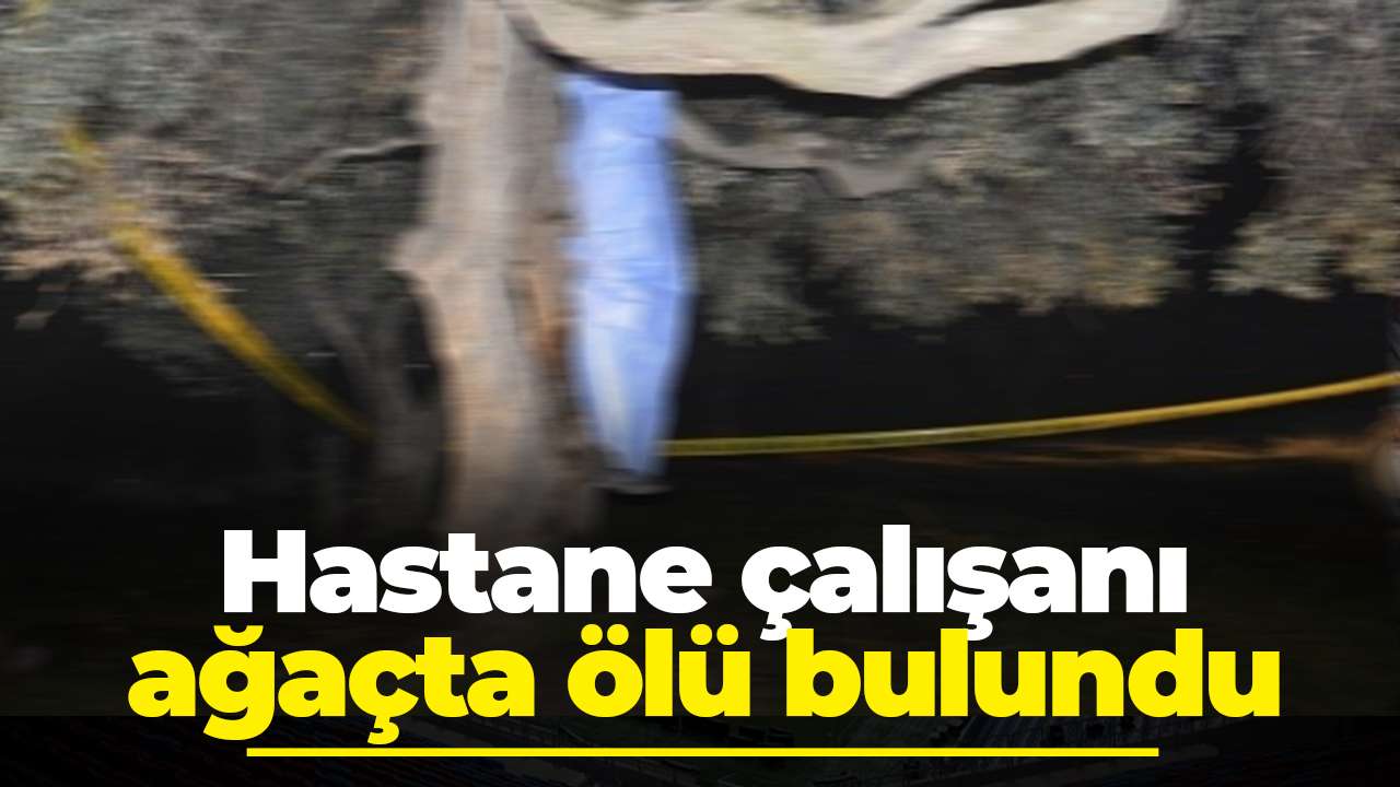 Hastane çalışanı ağaçta ölü bulundu