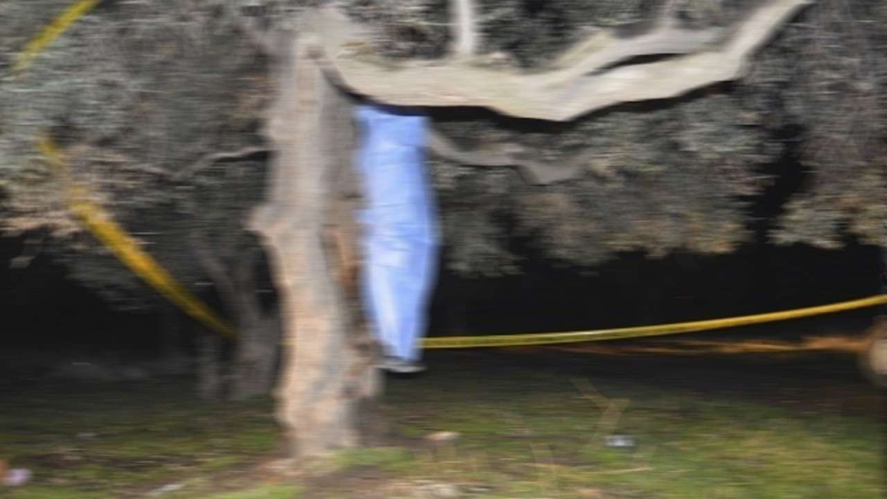 Hastane çalışanı ağaçta ölü bulundu