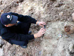 İnşaat kazısında toplu mezar çıktı