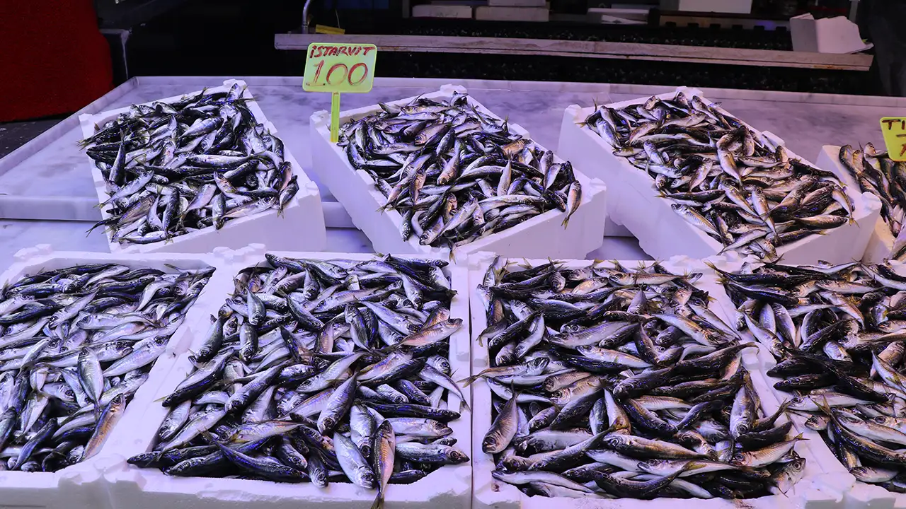 Rize’de balık tezgâhlarının gözdesi istavrit oldu: Kilosu 100 lira